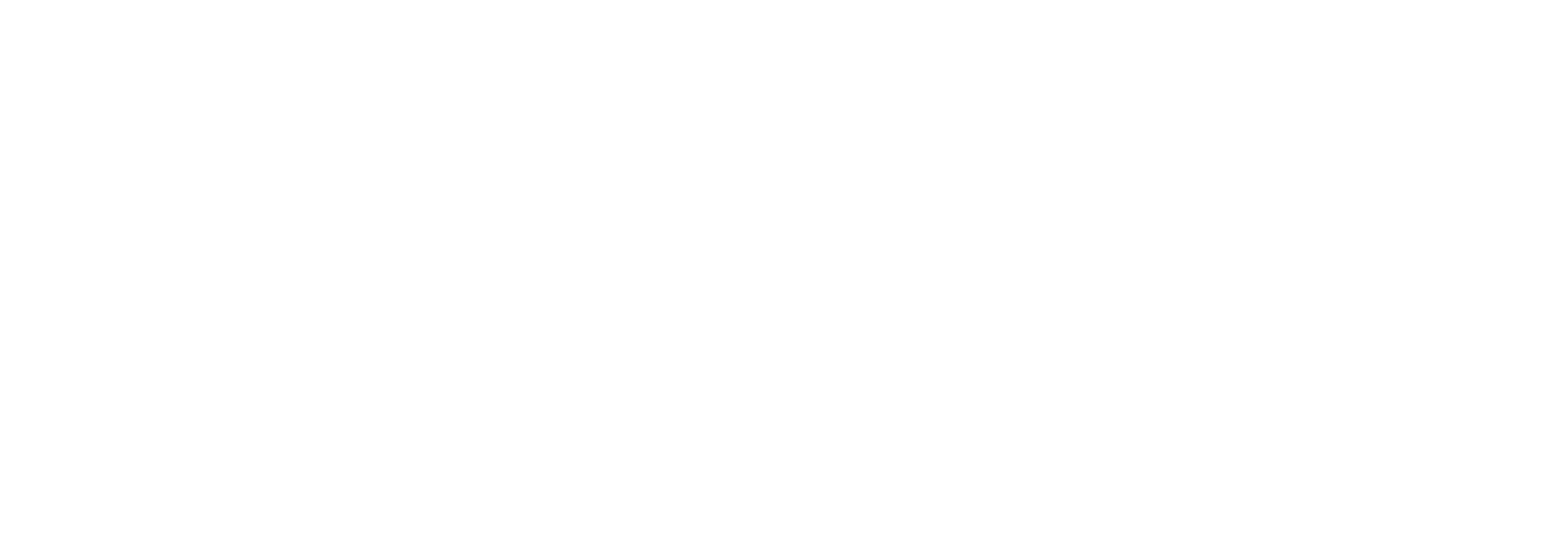 FGi-White-Logo-2024